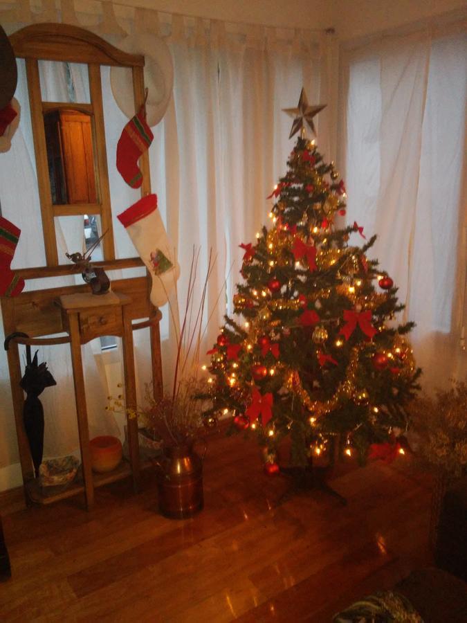 La Casa De Silvia Bed & Breakfast Puerto Madryn Bagian luar foto